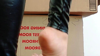 Stilettos Vs Cardboard